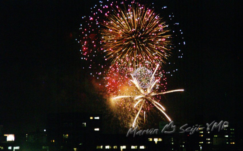fr_night_firework2012