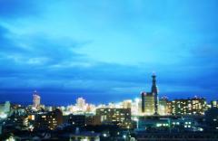 窓から見ゆる今どきんおいた